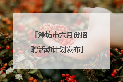 潍坊市六月份招聘活动计划发布