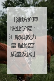 潍坊护理职业学院：汇聚职教力量 赋能高质量发展