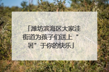 潍坊滨海区大家洼街道为孩子们送上“暑”于你的快乐