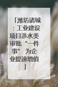 潍坊诸城：工业建设项目涉水类审批“一件事” 为企业提速增值