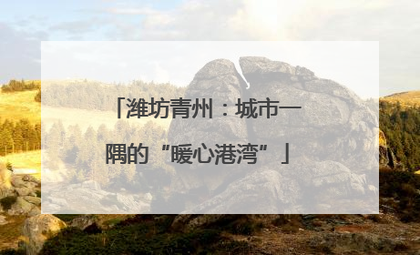 潍坊青州：城市一隅的“暖心港湾”