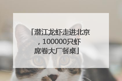 潜江龙虾走进北京，100000只虾席卷大厂餐桌