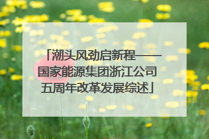 潮头风劲启新程——国家能源集团浙江公司五周年改革发展综述