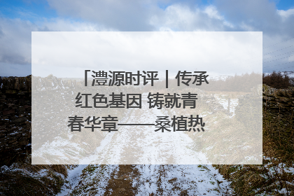 澧源时评｜传承红色基因 铸就青春华章——桑植热土上的青春长征