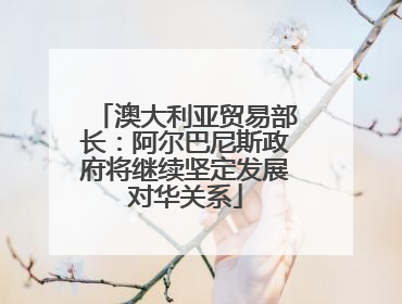澳大利亚贸易部长：阿尔巴尼斯政府将继续坚定发展对华关系