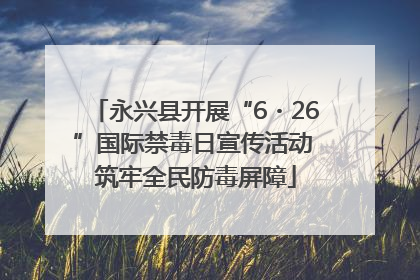 永兴县开展“6・26”国际禁毒日宣传活动 筑牢全民防毒屏障