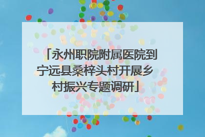 永州职院附属医院到宁远县桑梓头村开展乡村振兴专题调研