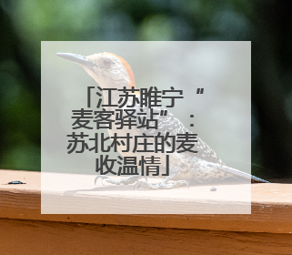 江苏睢宁“麦客驿站”：苏北村庄的麦收温情