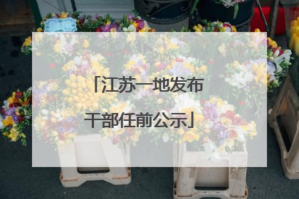 江苏一地发布干部任前公示