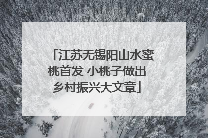 江苏无锡阳山水蜜桃首发 小桃子做出乡村振兴大文章