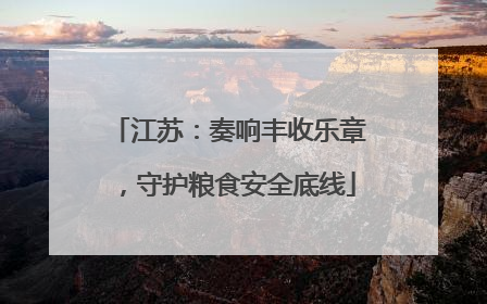 江苏：奏响丰收乐章，守护粮食安全底线