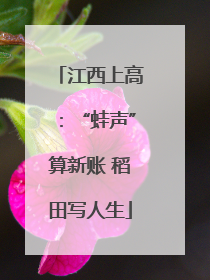 江西上高：“蛙声”算新账 稻田写人生