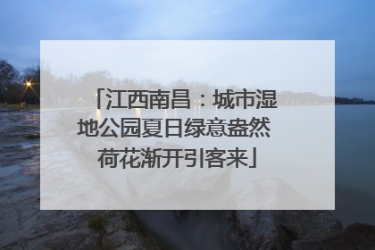 江西南昌：城市湿地公园夏日绿意盎然 荷花渐开引客来