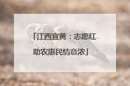 江西宜黄：志愿红助农惠民情意浓
