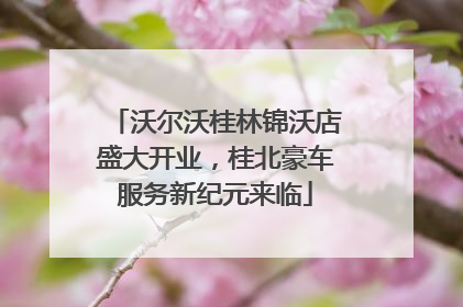 沃尔沃桂林锦沃店盛大开业，桂北豪车服务新纪元来临