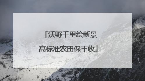 沃野千里绘新景 高标准农田保丰收