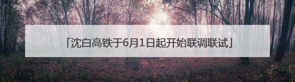 沈白高铁于6月1日起开始联调联试
