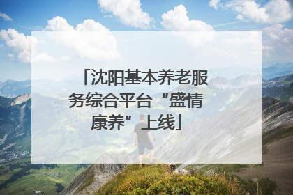 沈阳基本养老服务综合平台“盛情康养”上线