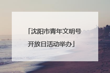 沈阳市青年文明号开放日活动举办