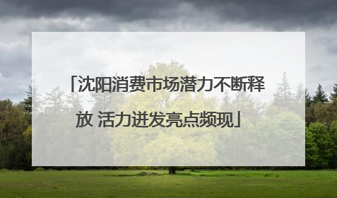 沈阳消费市场潜力不断释放 活力迸发亮点频现