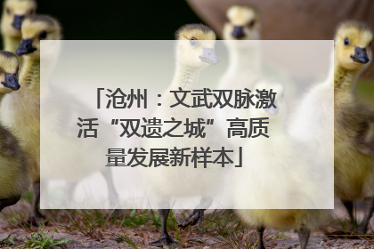 沧州：文武双脉激活“双遗之城”高质量发展新样本