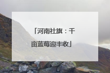 河南社旗：千亩蓝莓迎丰收