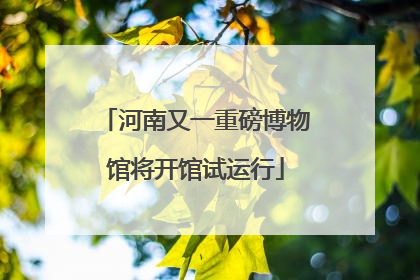 河南又一重磅博物馆将开馆试运行