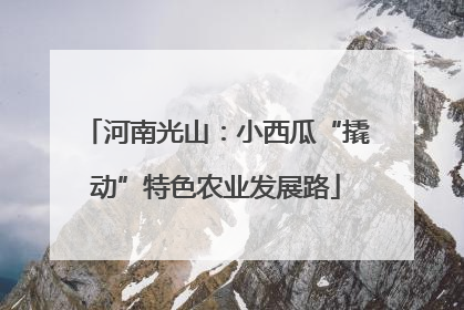 河南光山：小西瓜“撬动”特色农业发展路
