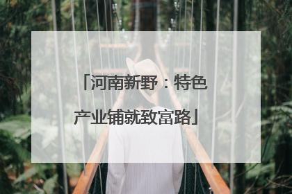 河南新野：特色产业铺就致富路