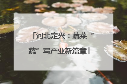 河北定兴：蔬菜“蔬”写产业新篇章
