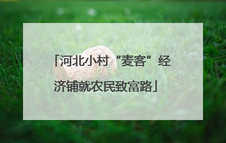 河北小村“麦客”经济铺就农民致富路