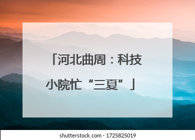 河北曲周：科技小院忙“三夏”
