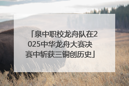 泉中职校龙舟队在2025中华龙舟大赛决赛中斩获三铜创历史