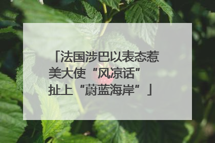 法国涉巴以表态惹美大使“风凉话” 扯上“蔚蓝海岸”