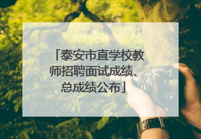 泰安市直学校教师招聘面试成绩、总成绩公布