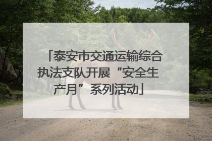 泰安市交通运输综合执法支队开展“安全生产月”系列活动