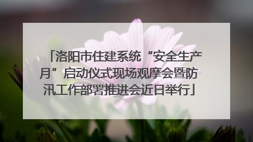 洛阳市住建系统“安全生产月”启动仪式现场观摩会暨防汛工作部署推进会近日举行
