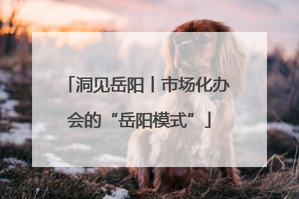 洞见岳阳丨市场化办会的“岳阳模式”