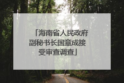 海南省人民政府副秘书长国章成接受审查调查