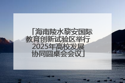 海南陵水黎安国际教育创新试验区举行2025年高校发展协同圆桌会会议
