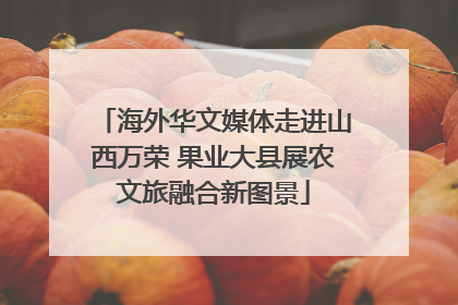 海外华文媒体走进山西万荣 果业大县展农文旅融合新图景
