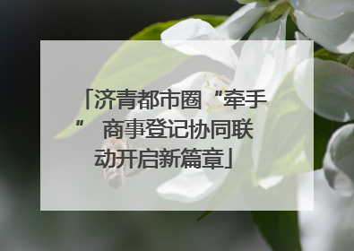 济青都市圈“牵手” 商事登记协同联动开启新篇章