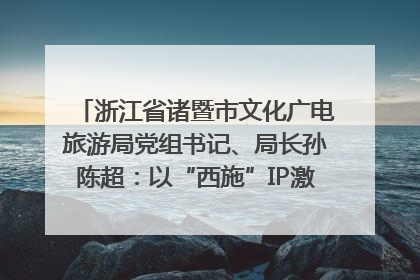浙江省诸暨市文化广电旅游局党组书记、局长孙陈超：以“西施”IP激活全域旅游 打造县域文旅融合新标杆｜第七届全国县域旅游研究成果发布系列活动
