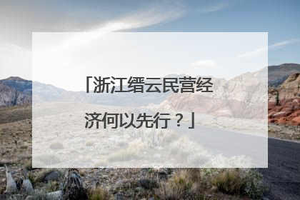 浙江缙云民营经济何以先行？