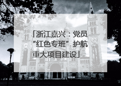 浙江嘉兴：党员“红色专班”护航重大项目建设