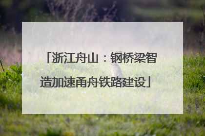 浙江舟山：钢桥梁智造加速甬舟铁路建设