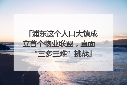浦东这个人口大镇成立首个物业联盟，直面“三多三难”挑战