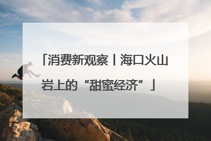消费新观察丨海口火山岩上的“甜蜜经济”