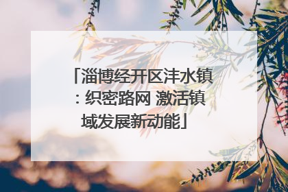 淄博经开区沣水镇：织密路网 激活镇域发展新动能