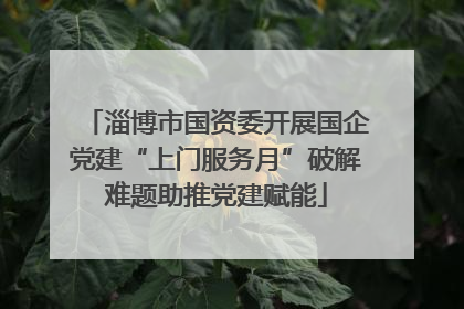 淄博市国资委开展国企党建“上门服务月”破解难题助推党建赋能